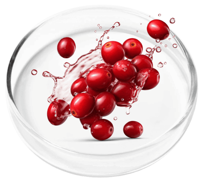 cranberry